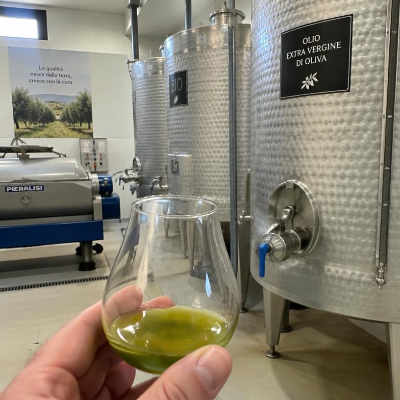 Bulk Extra Virgin Olive Oil